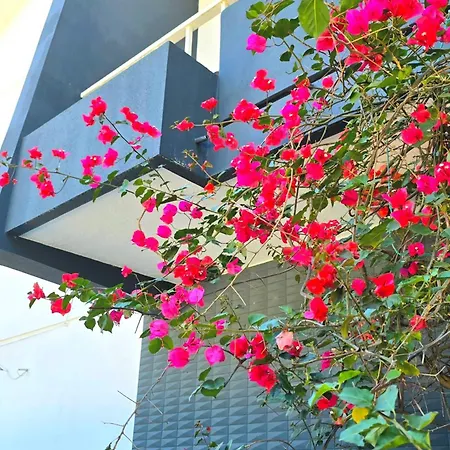 Jan House Casa de Férias