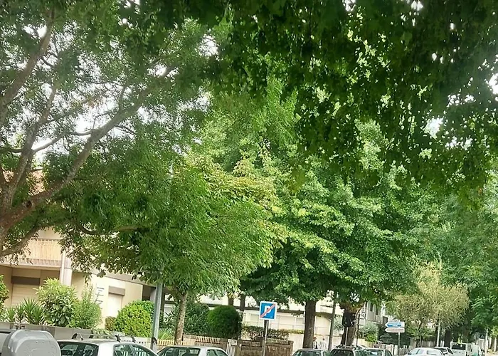 Dom wakacyjny Jan House Braga